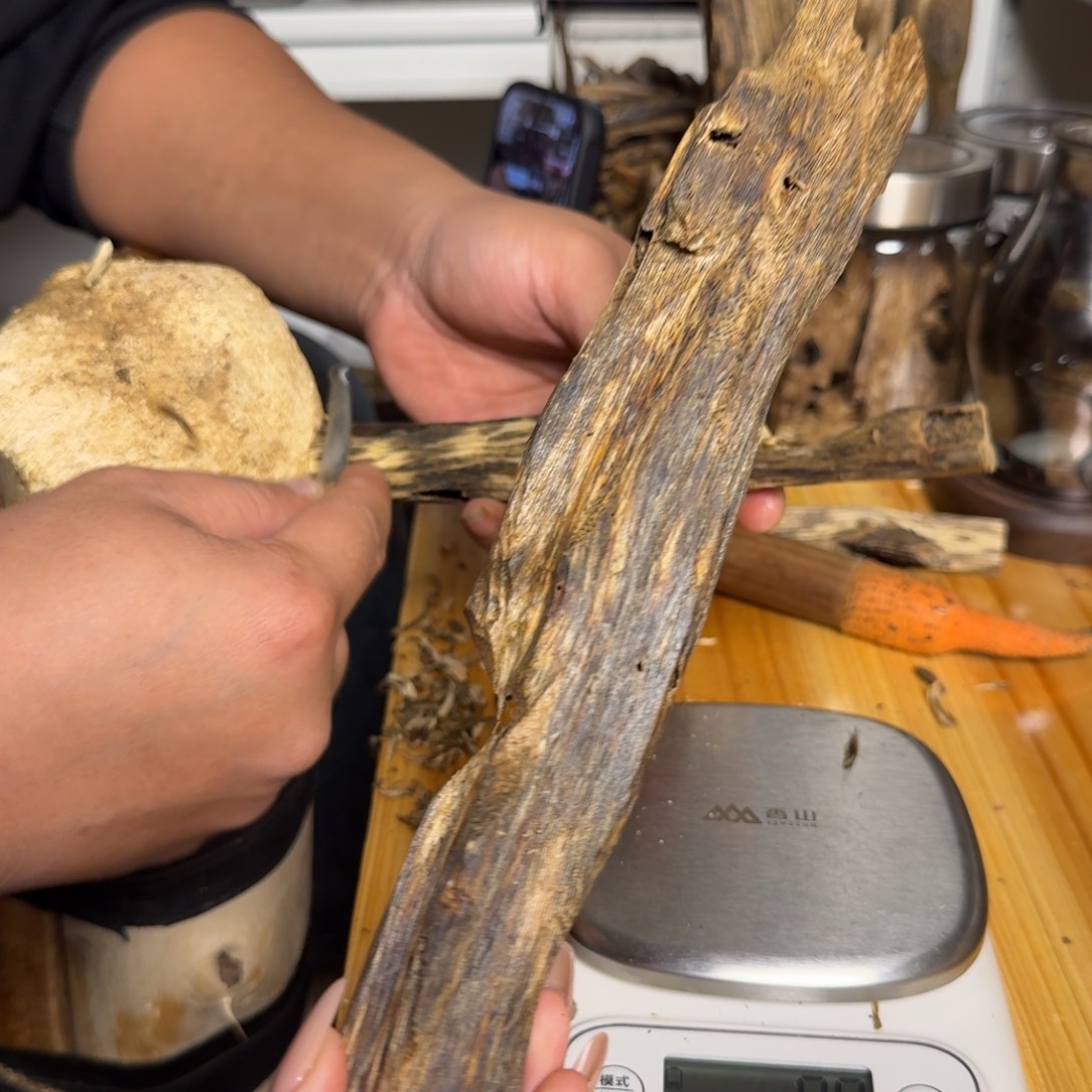 沉香白奇虫漏香58克