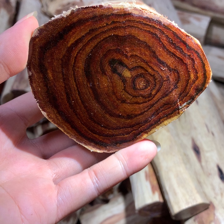 花梨木类海南黄花梨