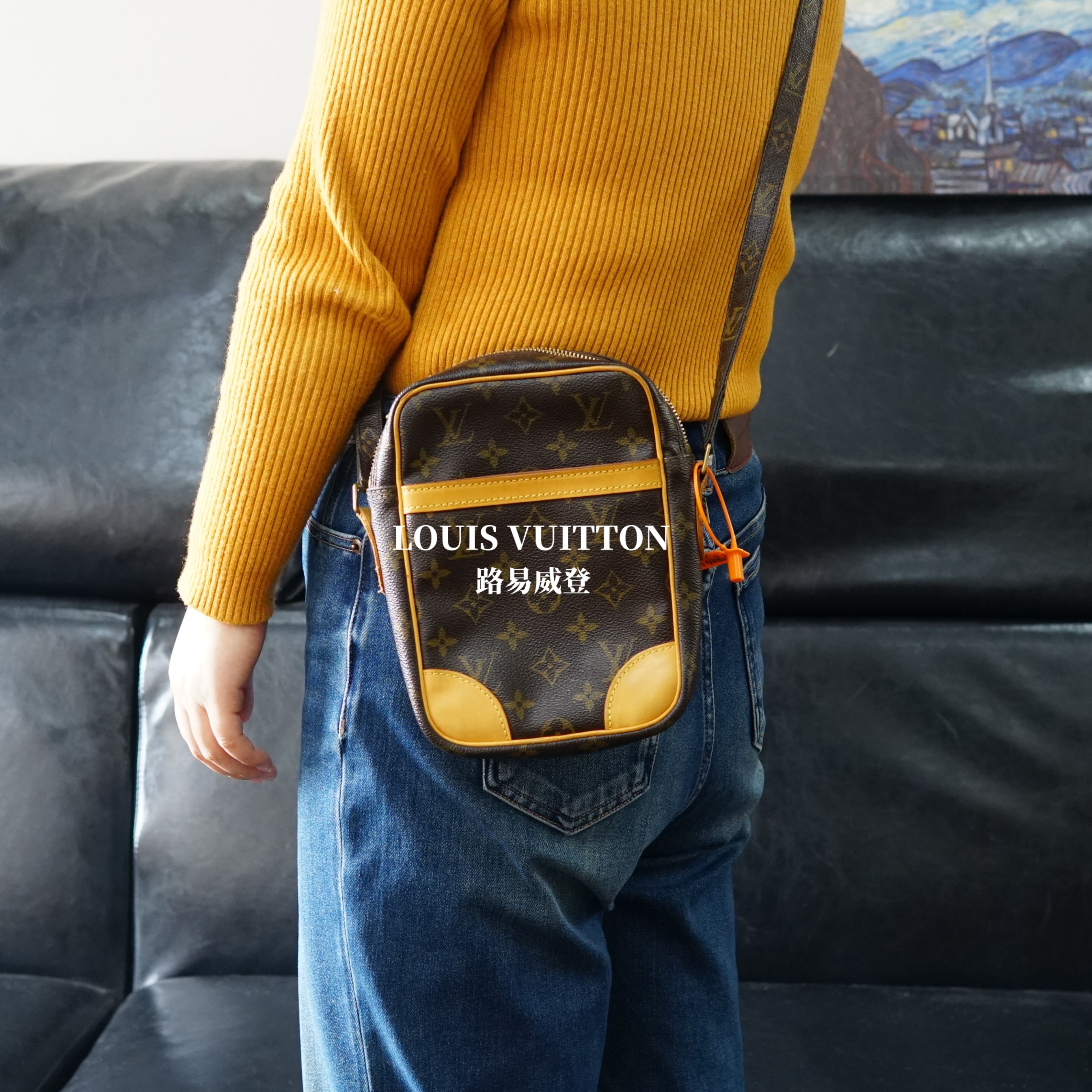 95新 LouisVuitton/路易威登 LV/竖版单层相机包/JJ07111031/1031