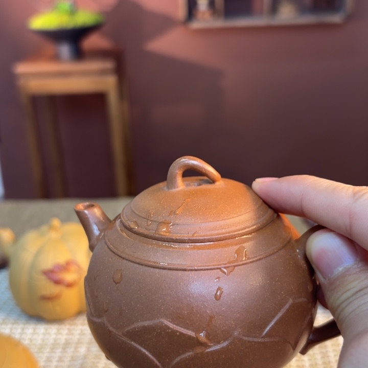 紫砂茶壶紫砂我做的