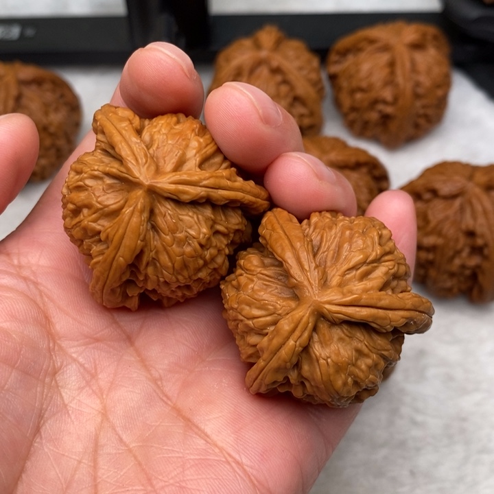 文玩核桃吊坠一****排核桃