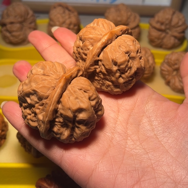 核桃蛙蛙42高桩三角