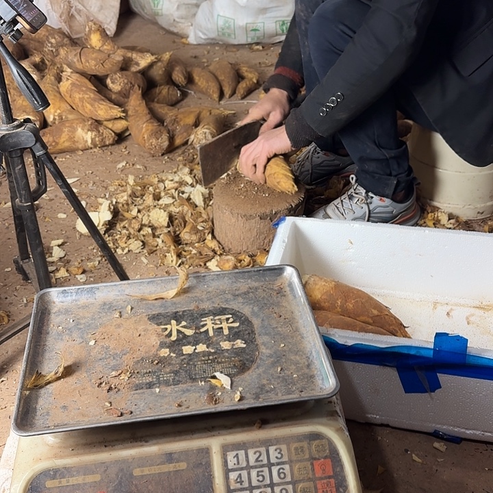 中国大陆四川黄离冬笋大道水