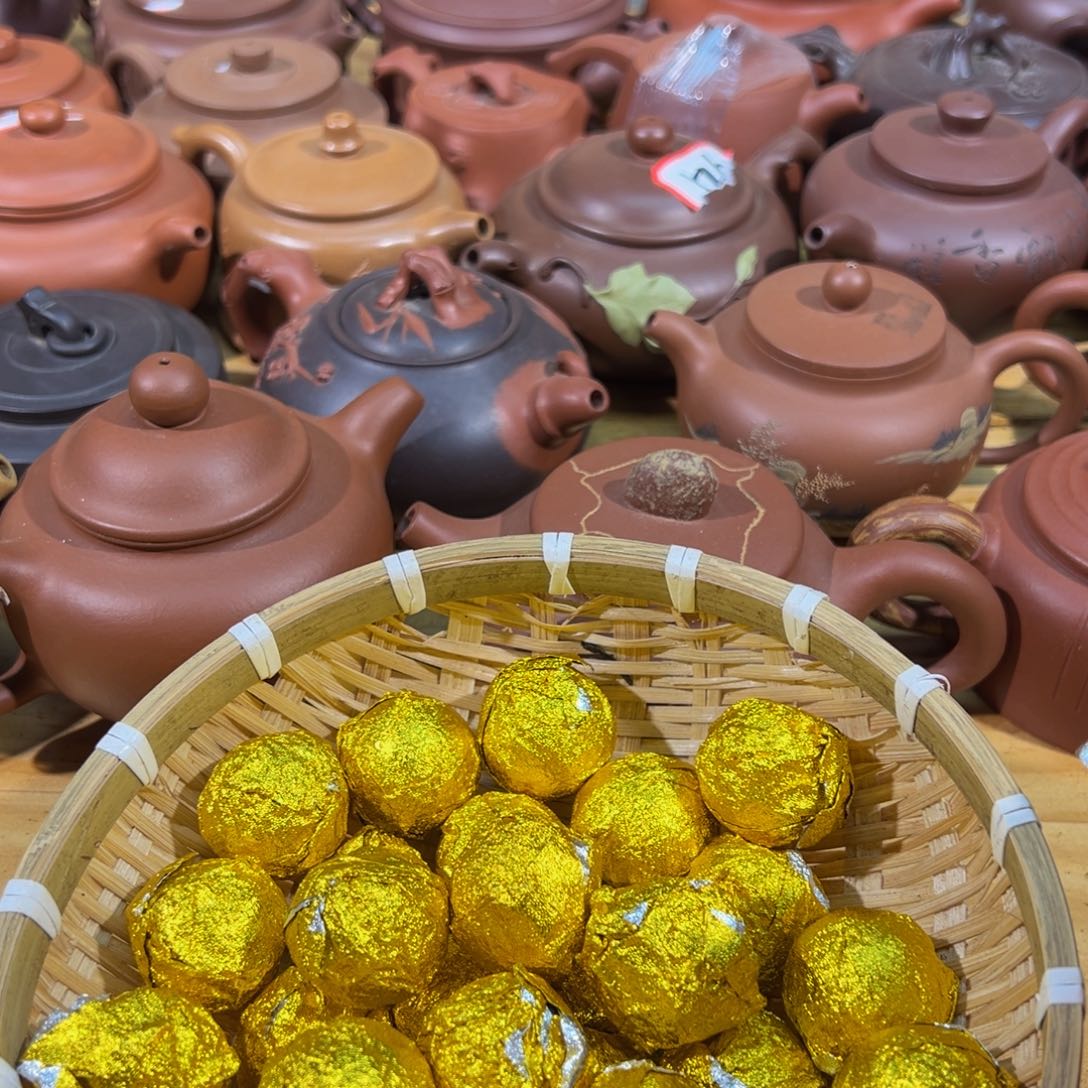 壶1号白云推荐推荐