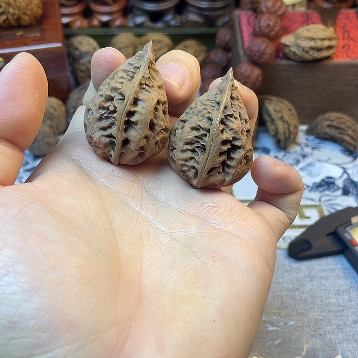 核桃东北楸子三角龙22