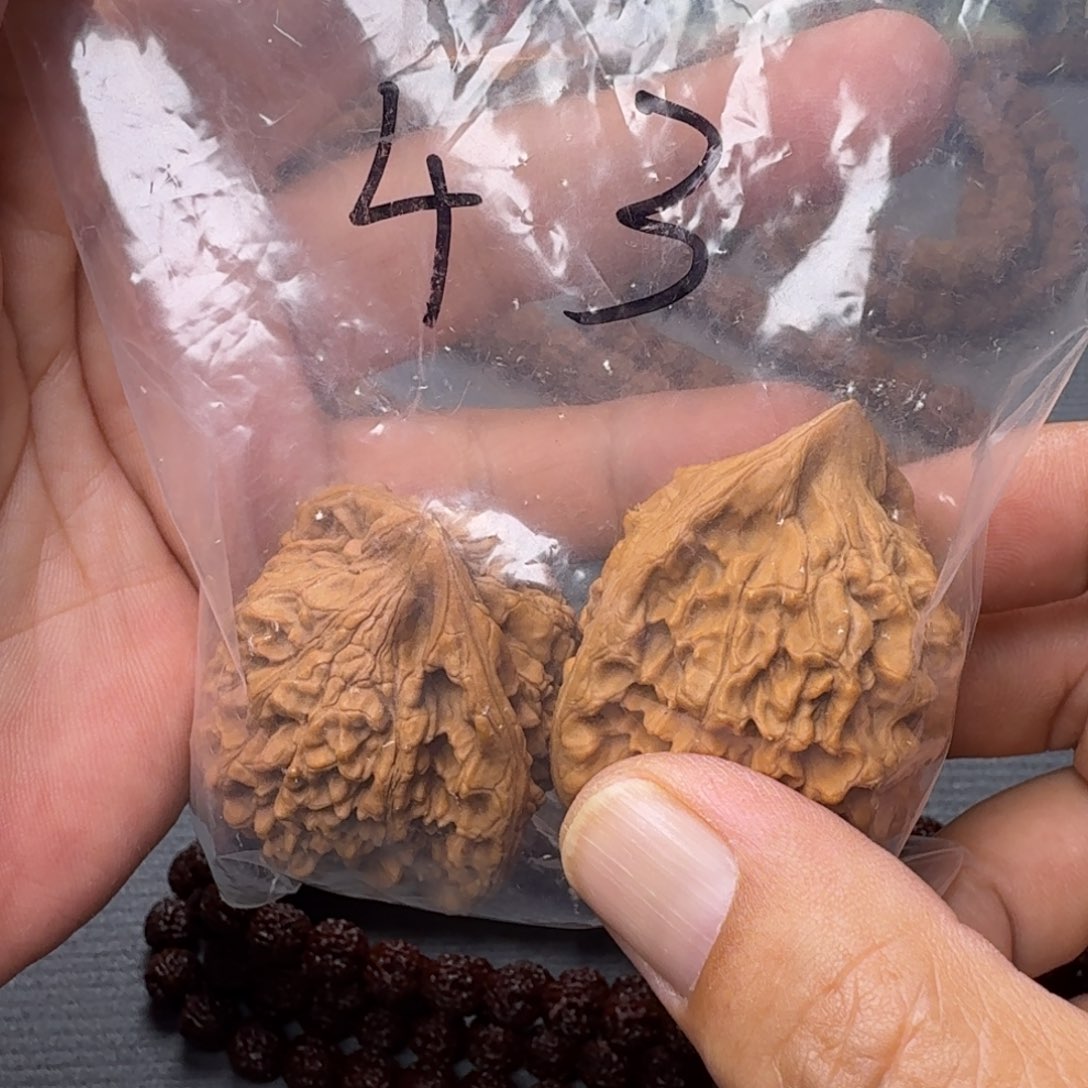 金刚菩提把件热***库福利核桃官帽