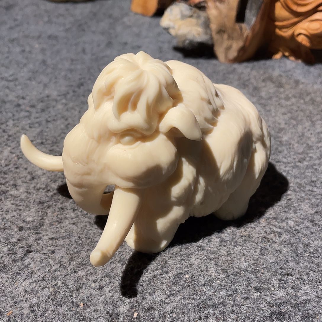 柏木（崖柏）象牙果摆件