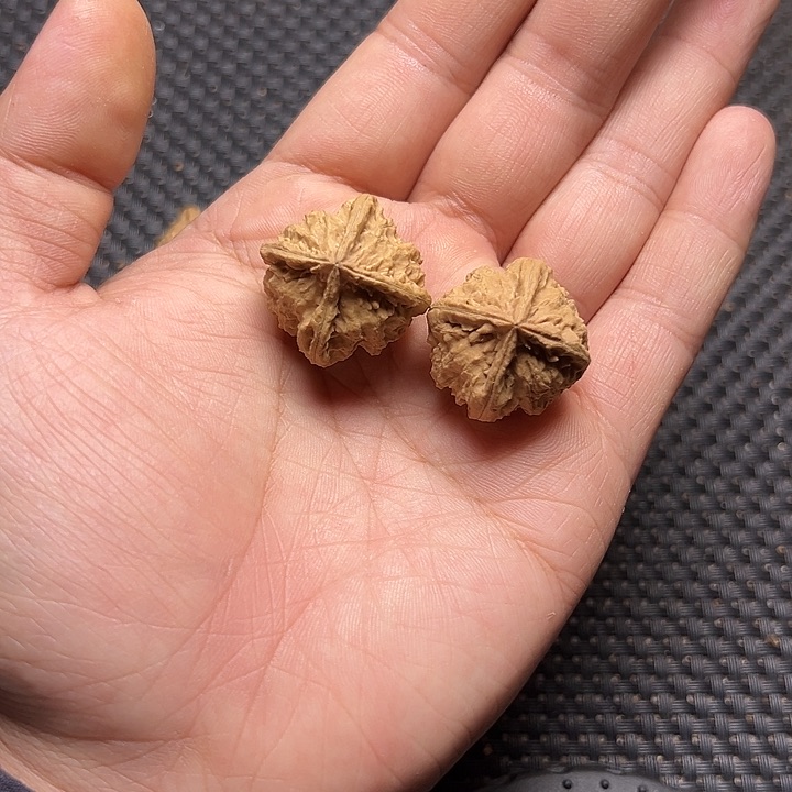 文玩核桃吊坠四棱