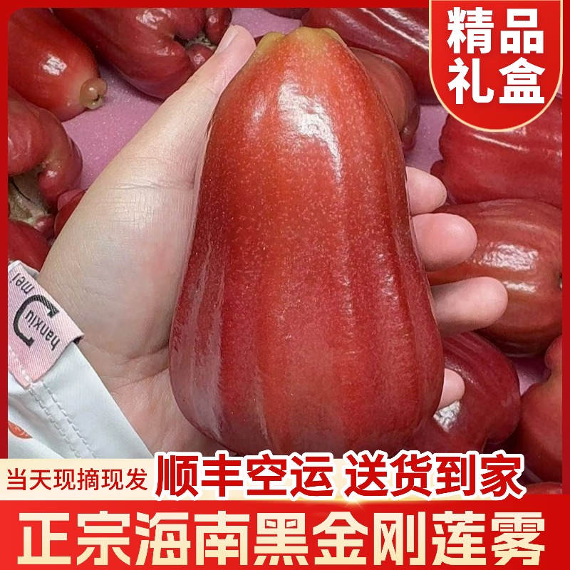 海南三亚热带水果黑金刚莲雾精品礼盒 产地直发 顺丰空运