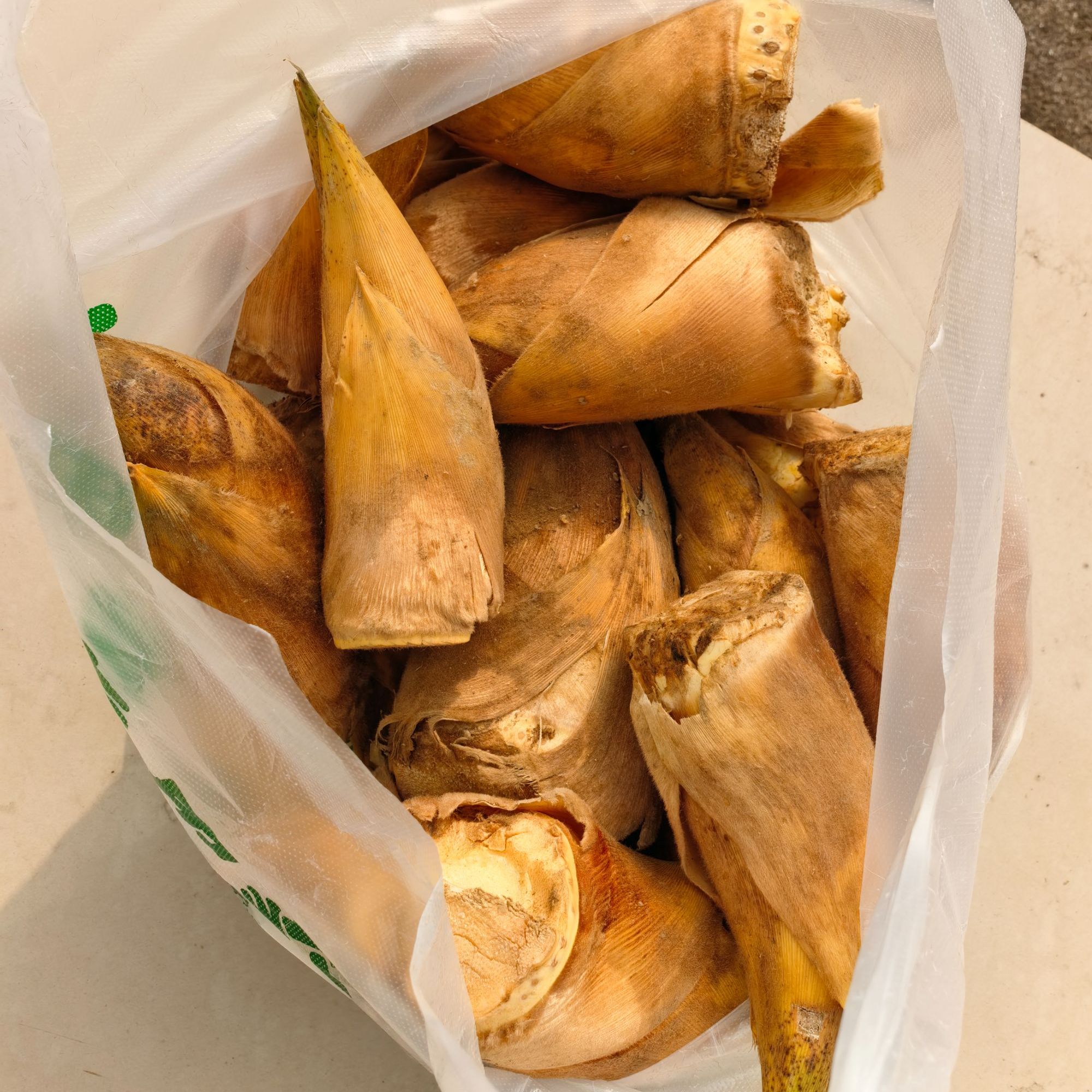 【湘哥专属】新鲜冬笋