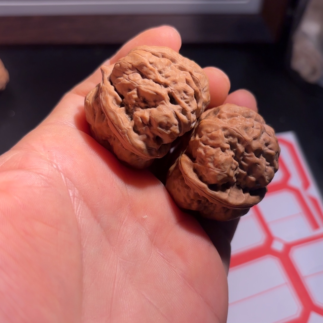 佩***奇桃木蛤蟆头37全品