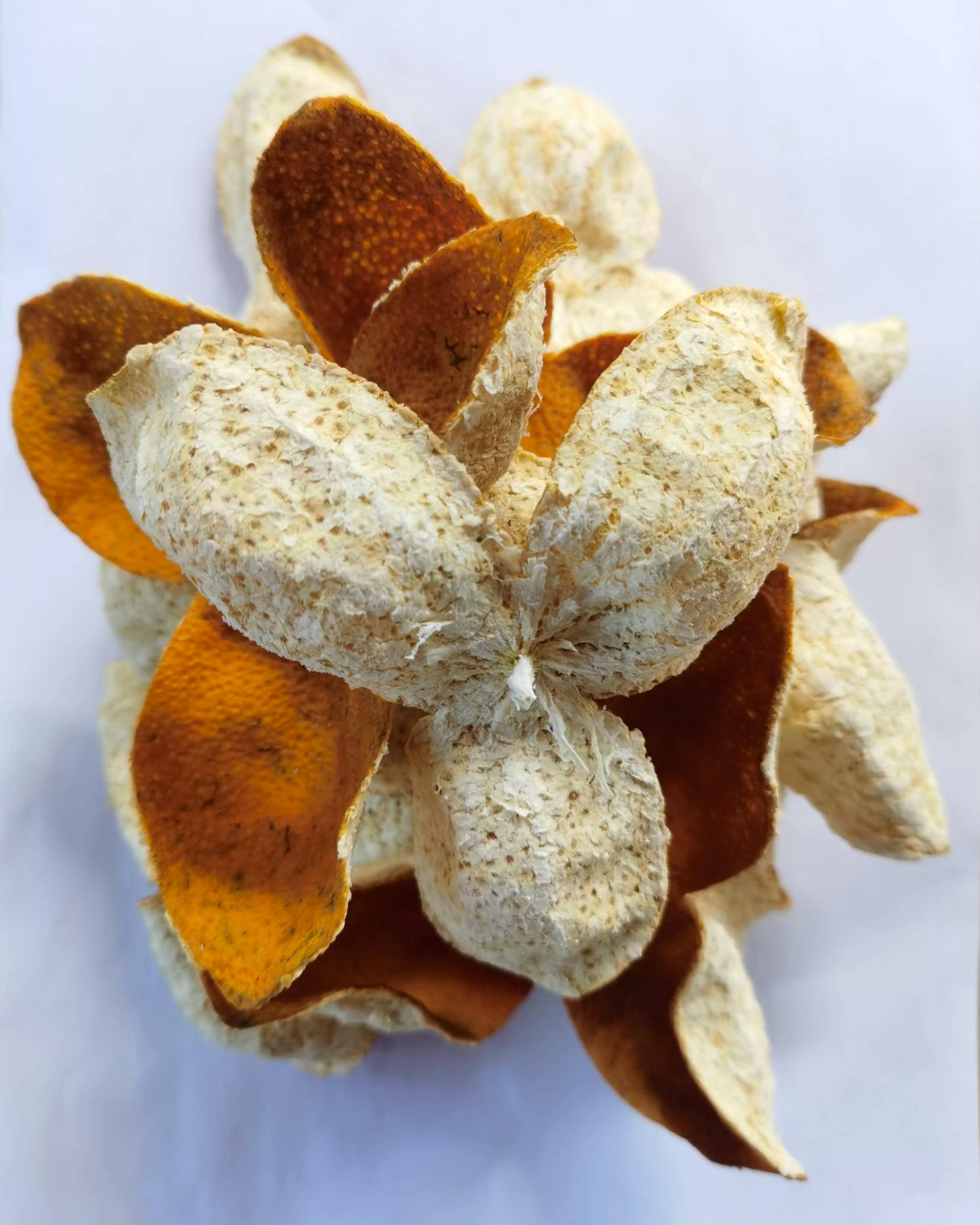 广东新会陈皮，南坦2024年圈枝大红陈皮代用茶