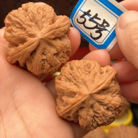 文玩核桃吊坠粗筋41.5