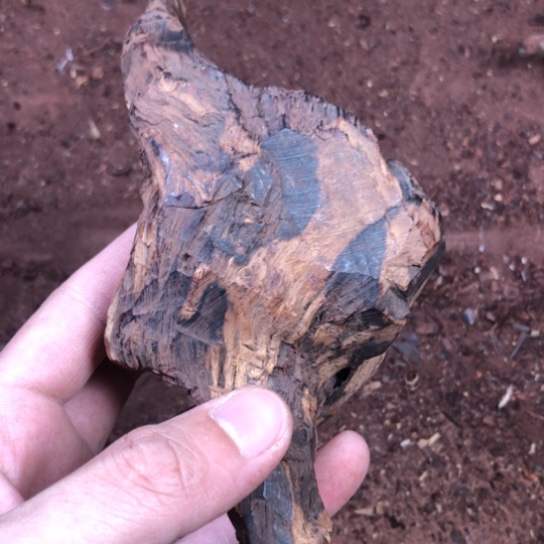 J***）黄花梨/降香黄檀手串原木料定制，不退不换