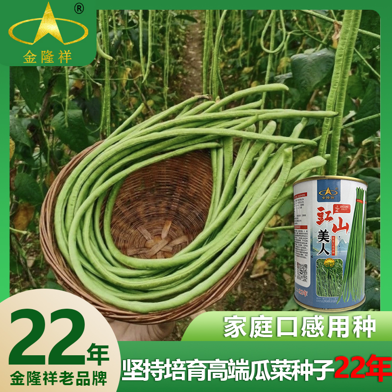 豇山美人耐寒长豆角豇豆种子农家阳台菜园蔬菜种植金隆祥老品牌