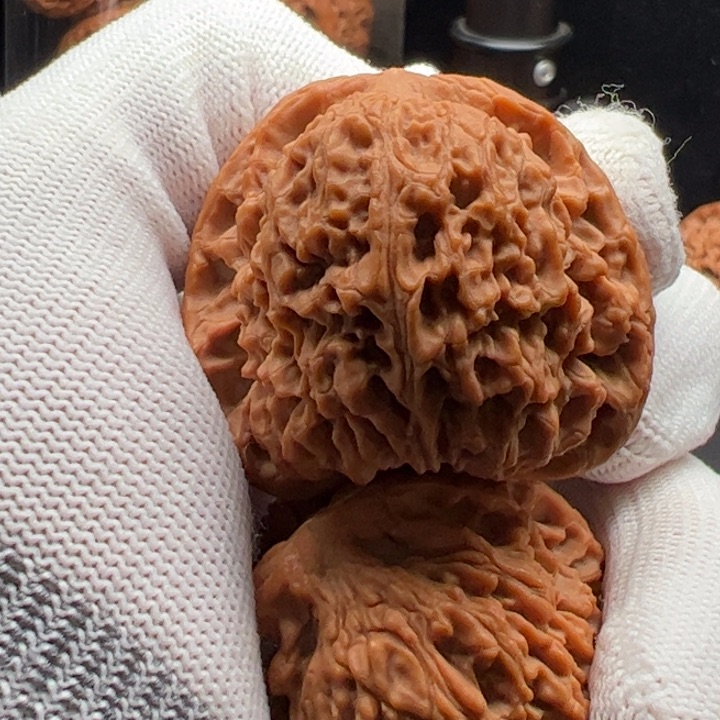 文玩核桃把件42全品南将