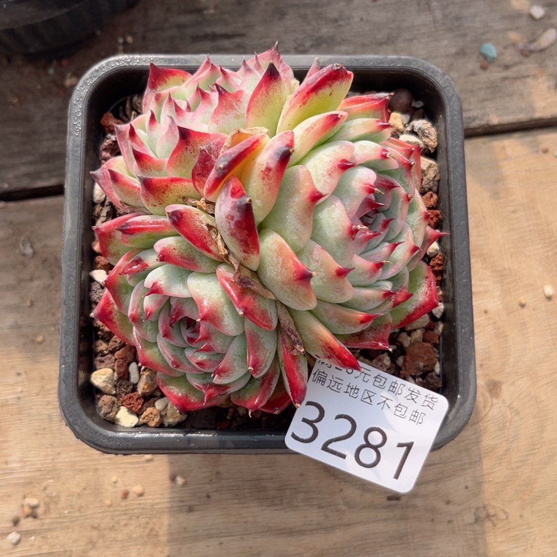 大3281）d b c b vb n n