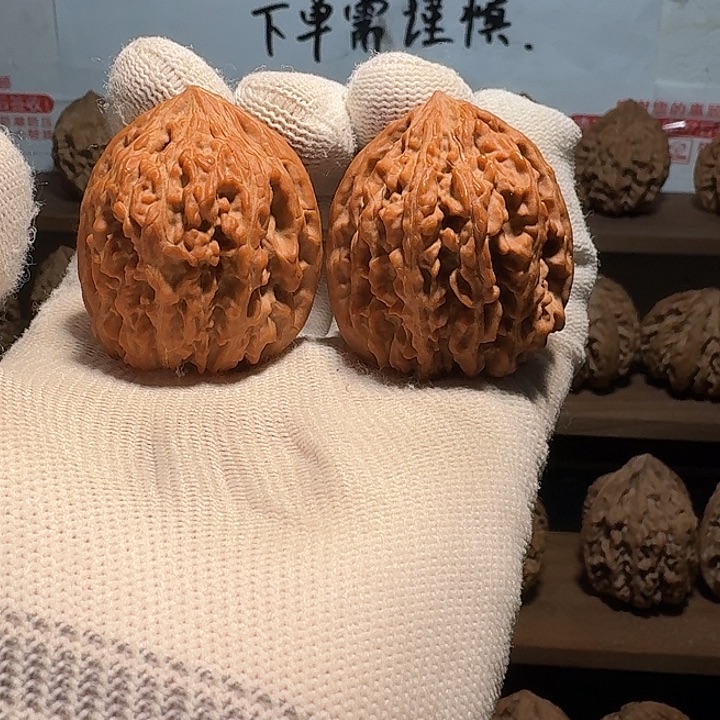 芭***海核桃秦岭野生无名鸡心