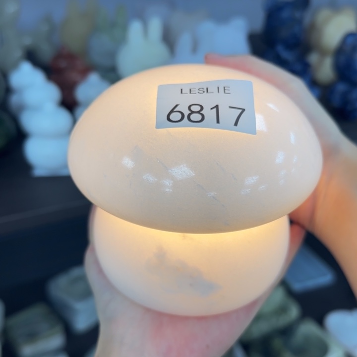 X817.                灯