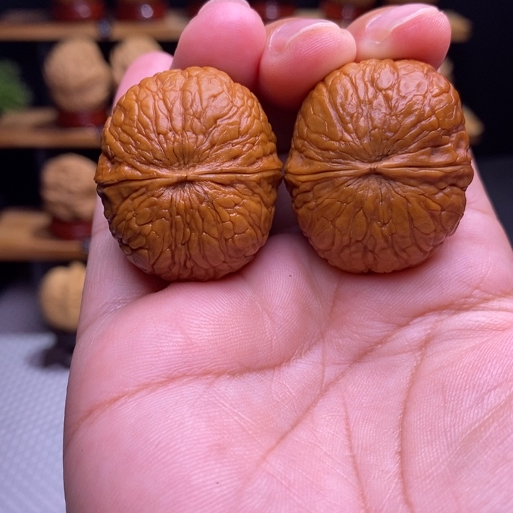 木质类云铁落宝16号