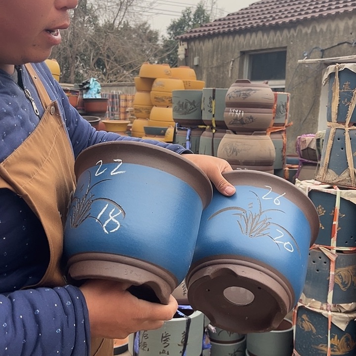 紫砂紫砂花盆盆栽