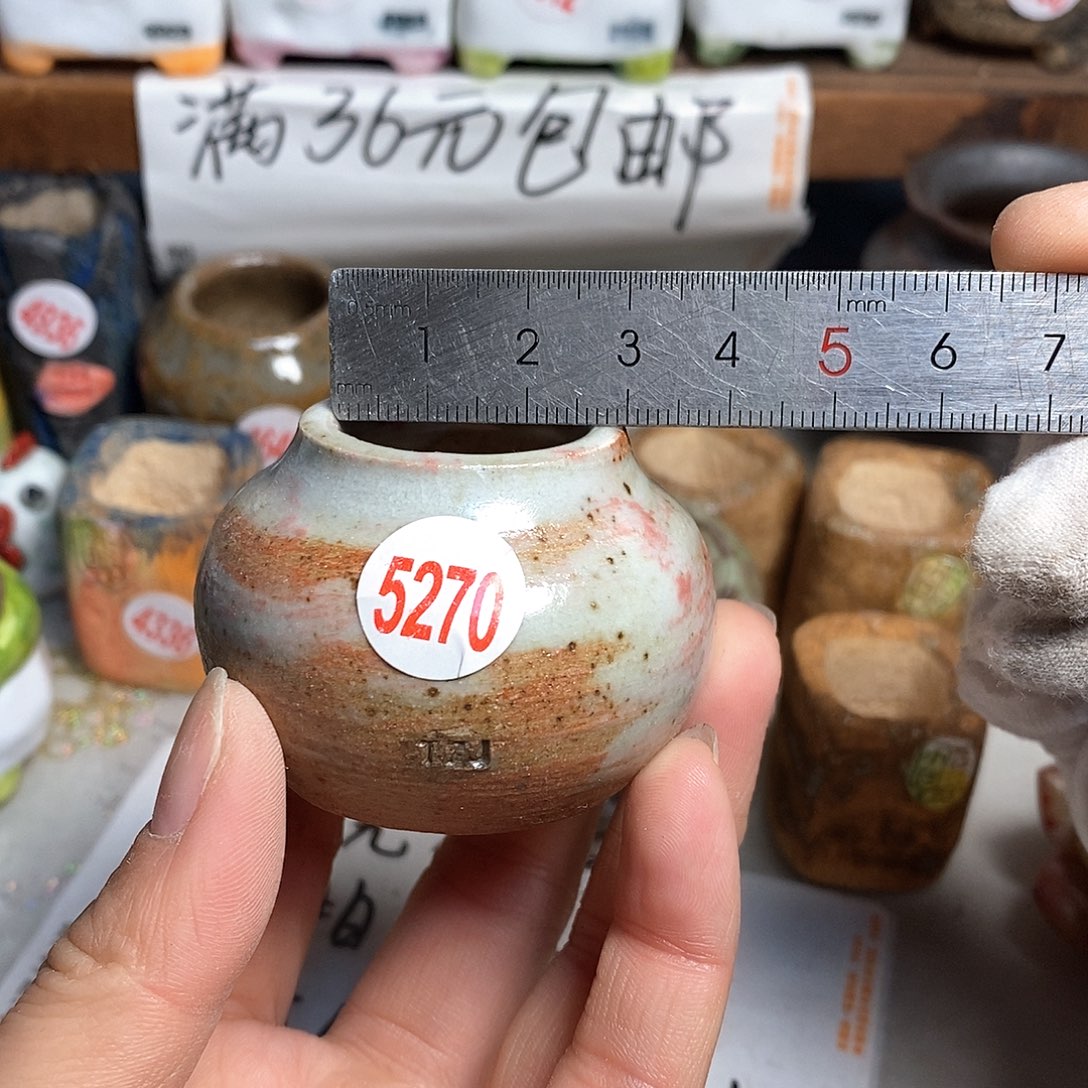 红陶拍5送一个小