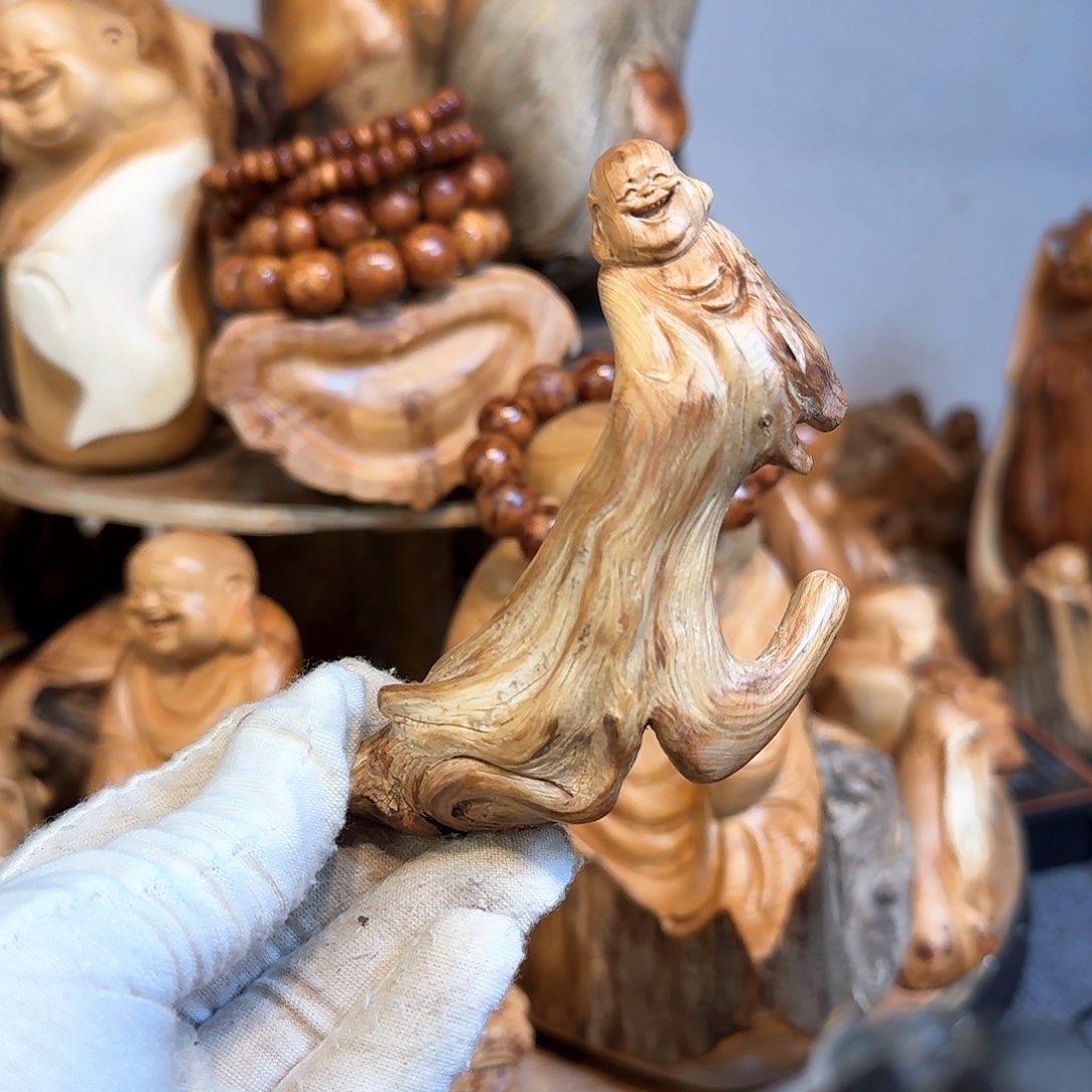 柏木（崖柏）666666666