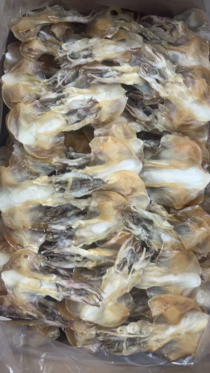 汕尾本港新晒中号墨鱼干淡晒煲汤食用干海鲜干货