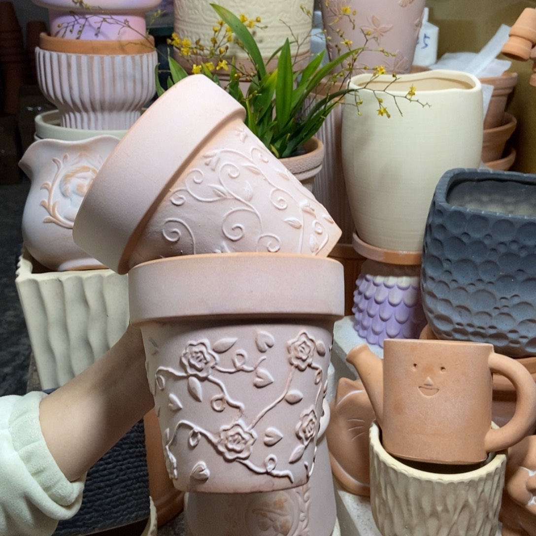 14×13雾化国际玫瑰+钩藤2个