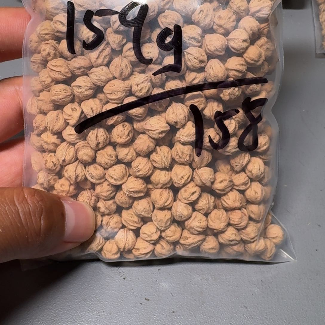 柏香籽/百香籽吊坠只***饺