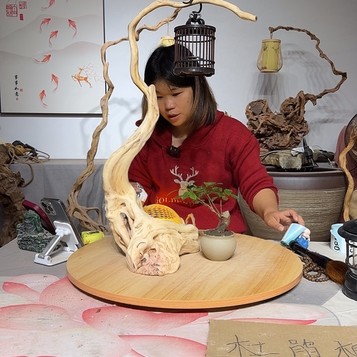 待***圆杜鹃根艺术中心根