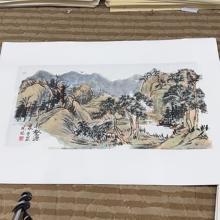国画花鸟的翅膀和羽