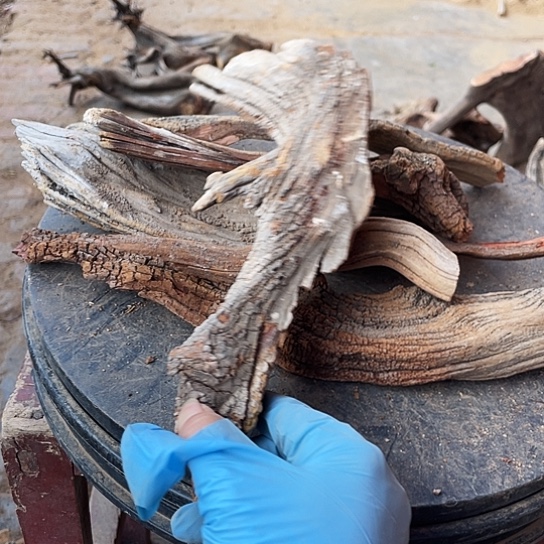 陶***陶柏木崖柏崖柏香料