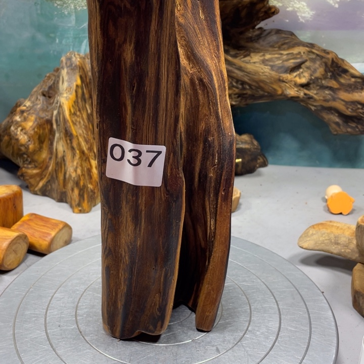 G***哥木直播间一物一图