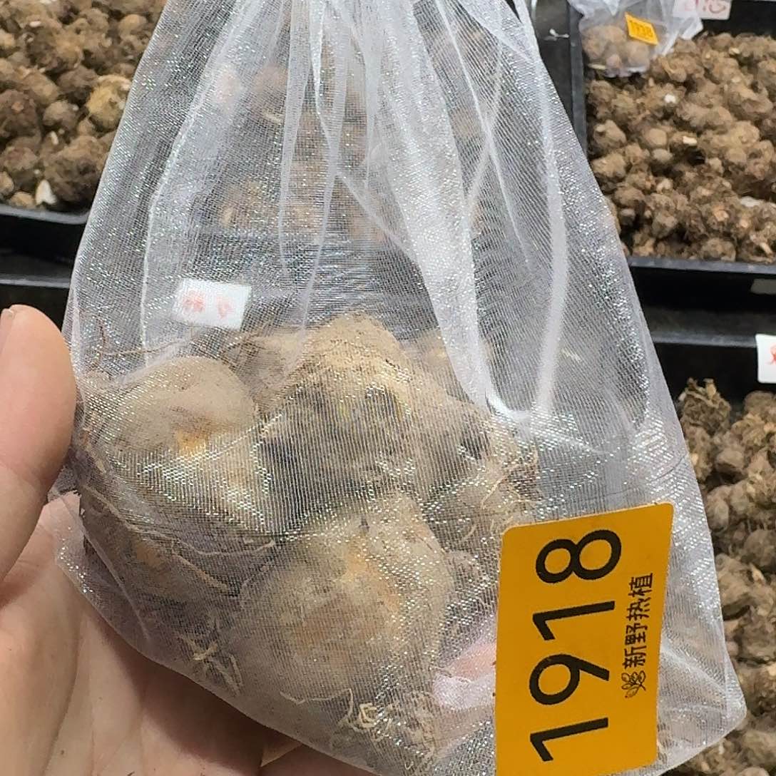 完全开放1918粉色飞溅裸球不售后