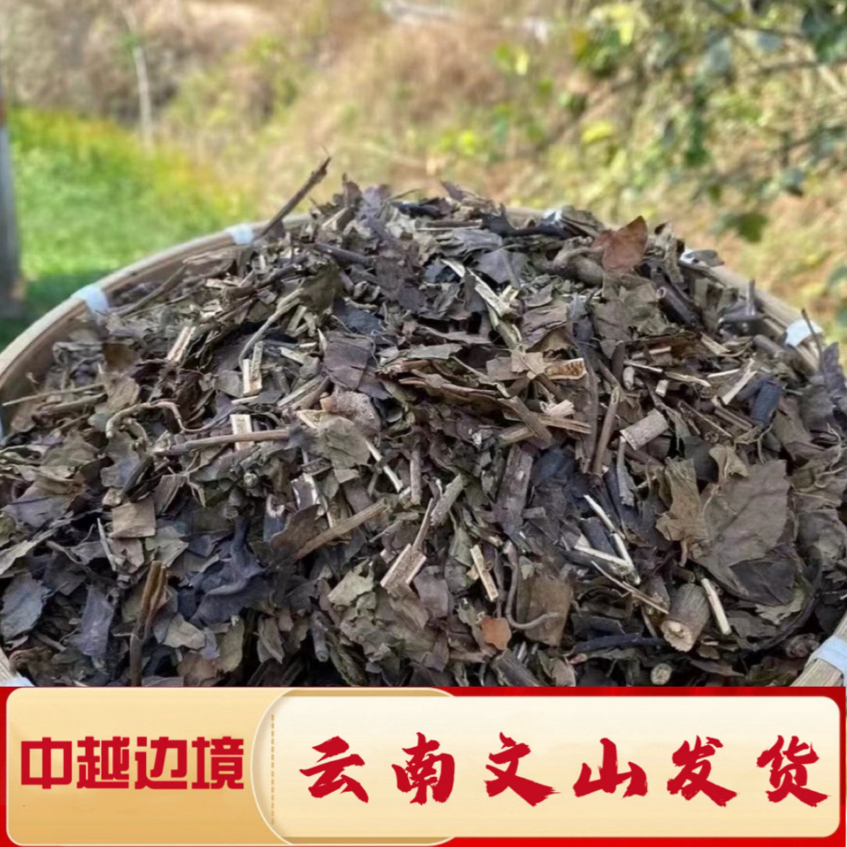 一村一品山野好货【消炎大王】九节风香草