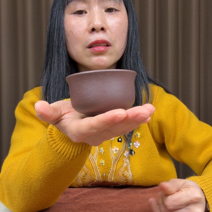 风***起茶壶紫砂紫泥主人杯