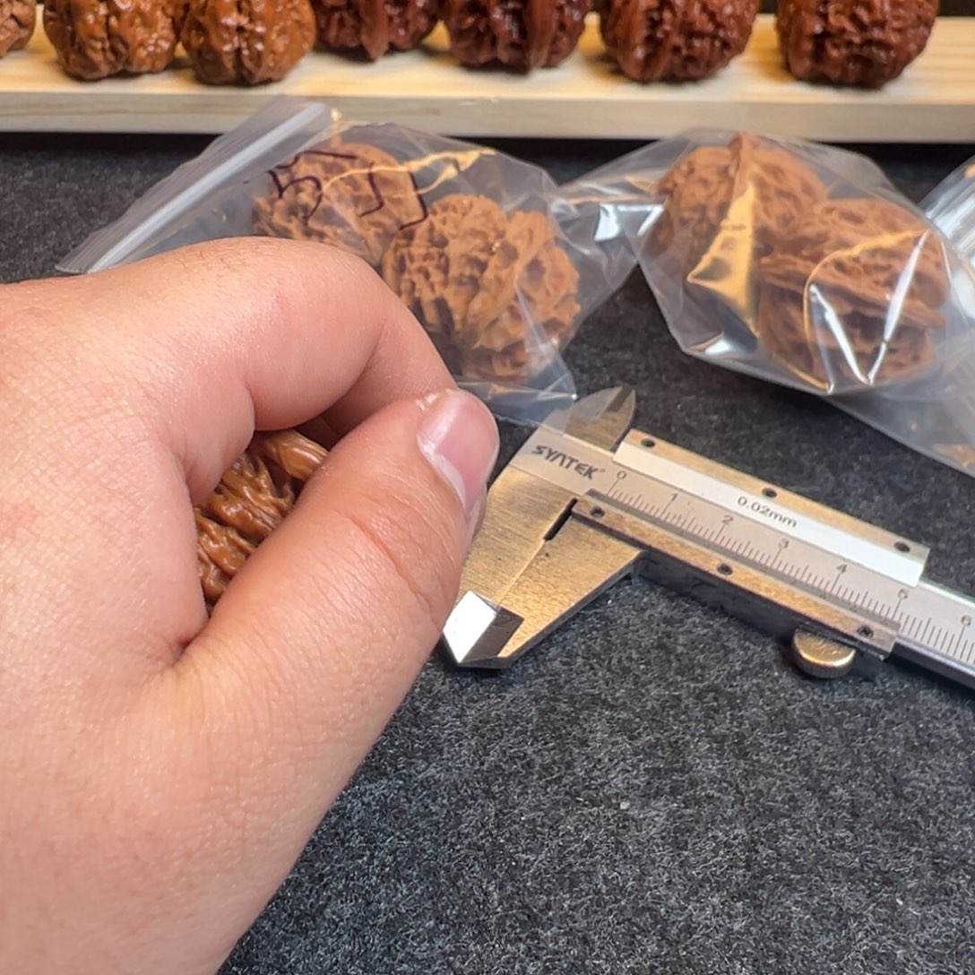 欠***登核桃练手和他一对