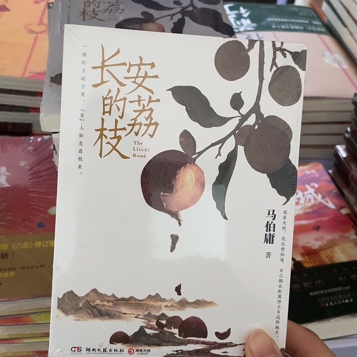 长安的荔枝  平装带塑封