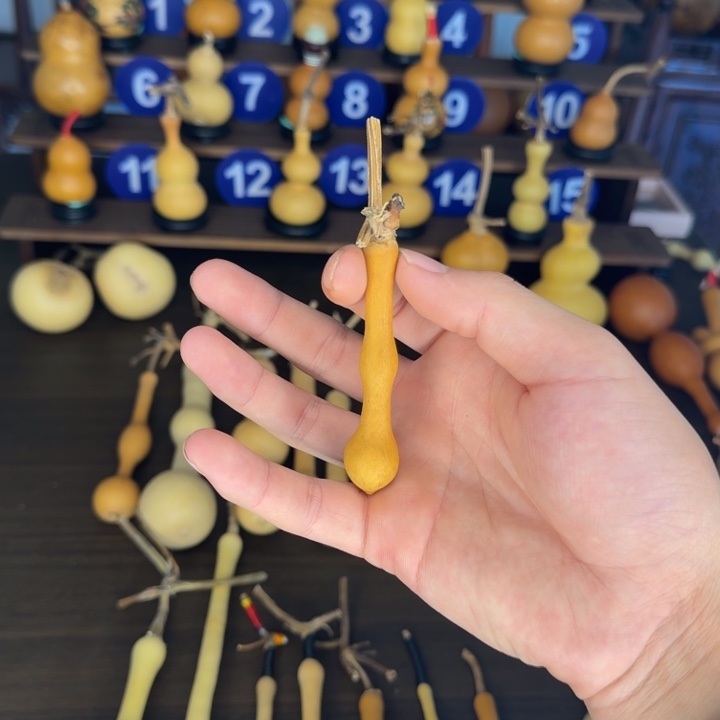 转***身精品蚂蚁老皮杆子周正