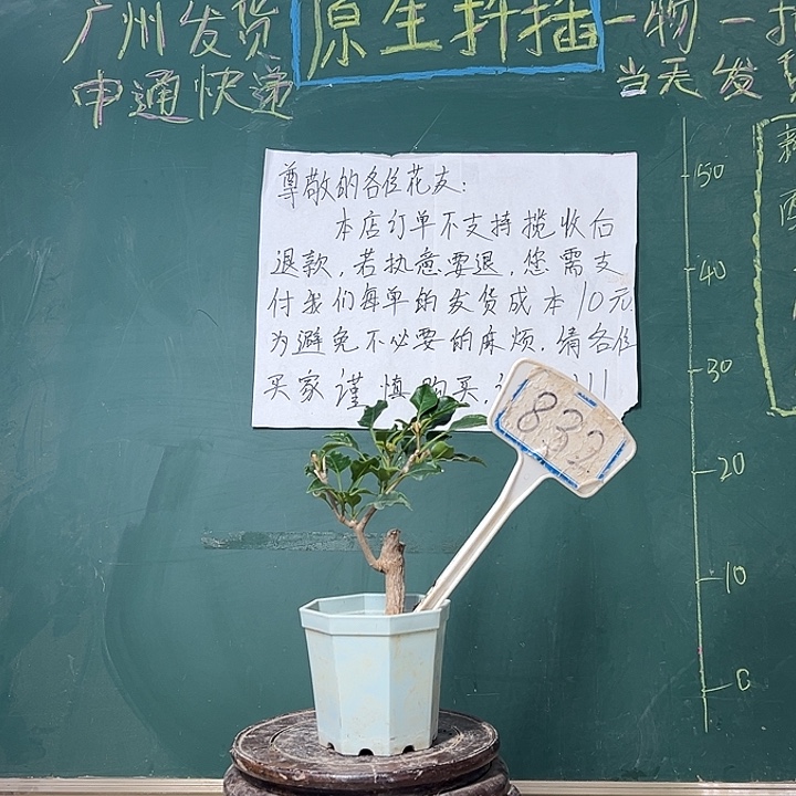 完全开放   盲盒 大宝  832