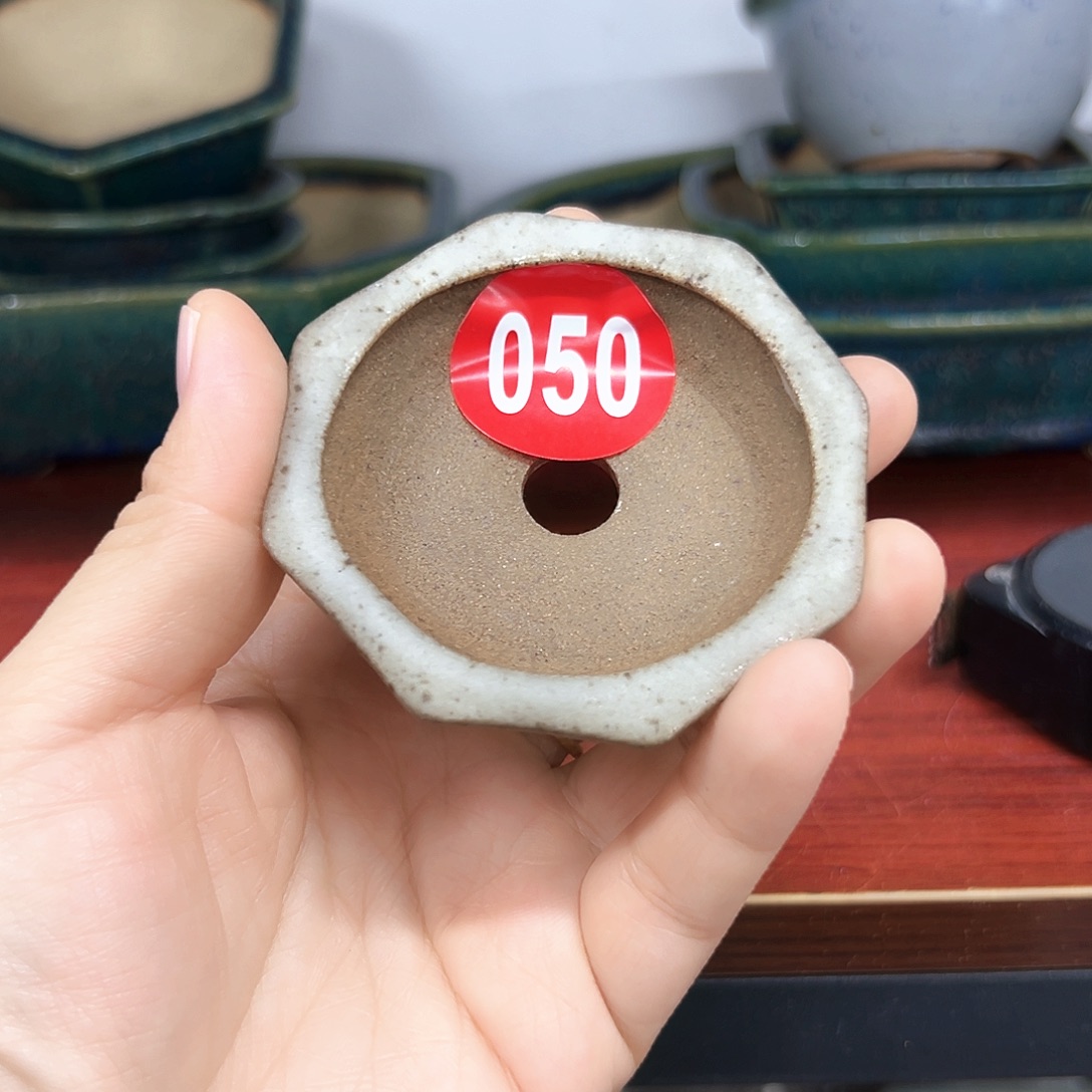 白***@对你的喜欢就如同这日子只增不减050