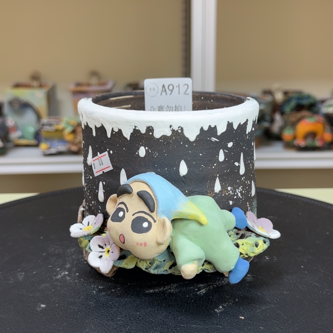 A912 【闪购】多肉花盆