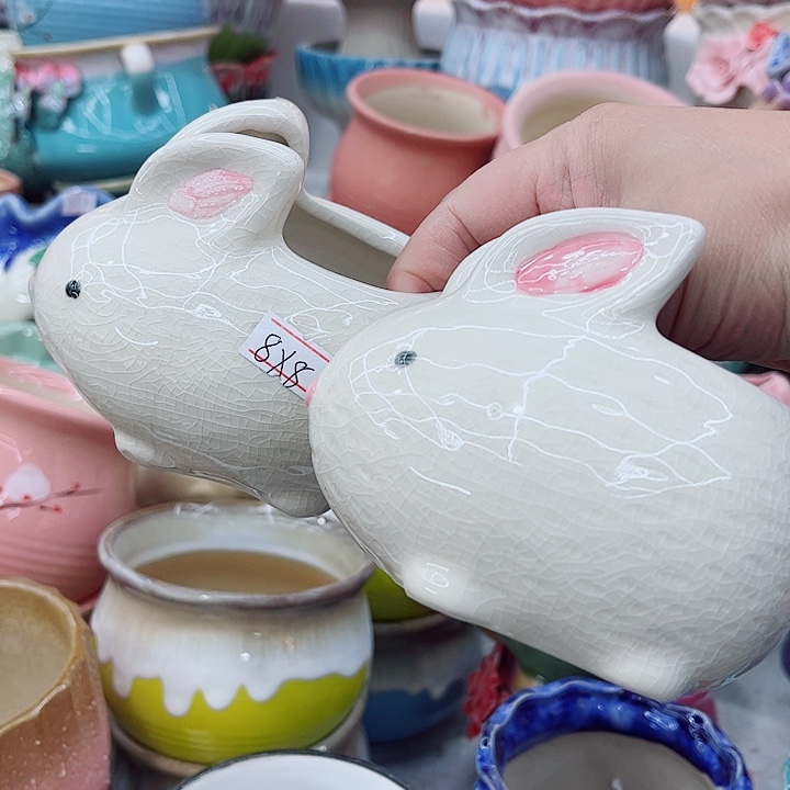 多肉植物陶瓷花盆