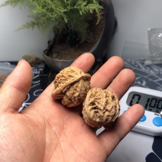 文玩核桃核桃手把件文物核桃