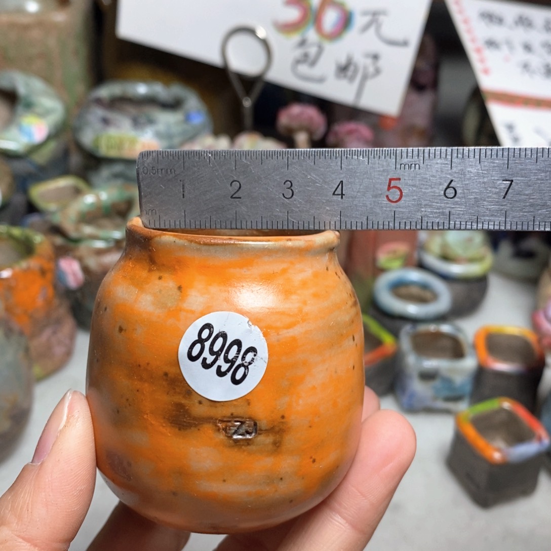 花盆拍5送一个小礼物