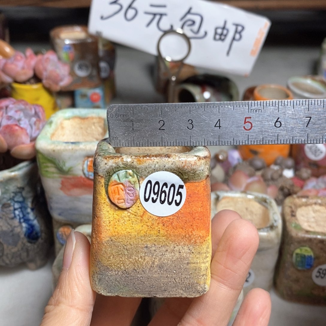 拍3送一个小礼物