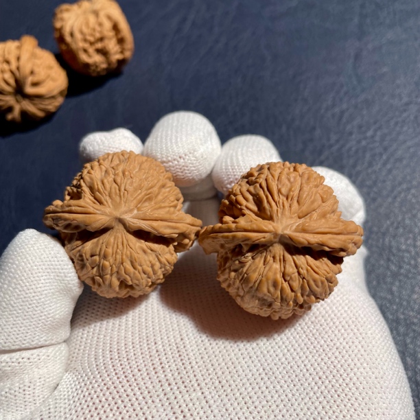 涞水山地白狮子头文玩核桃（白茬）37～41mm 下单后联系客服选尺寸