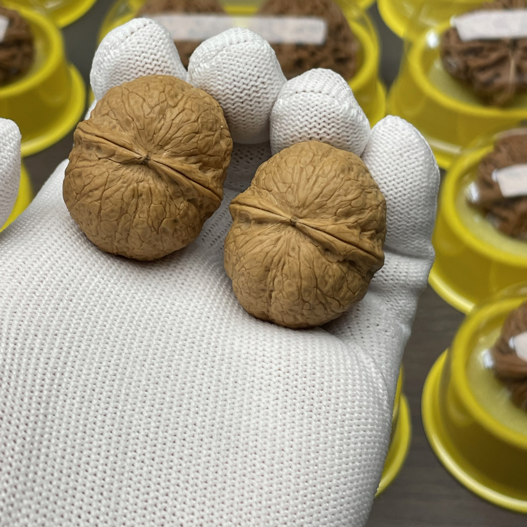 精选云南至尊龙珠莽纹元宝核桃手把件收藏精品