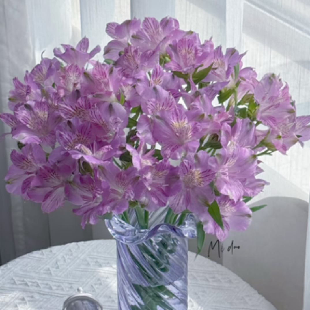 【水仙百合】520鲜花/超长待机王/可发新疆西藏北方偏远地区